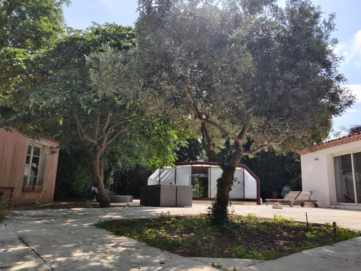 Villa Muscat, Piscine Chauffee & Spa Frontignan Luaran gambar
